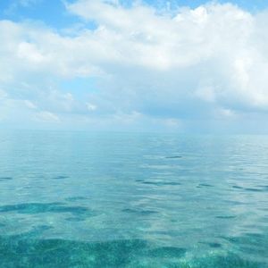 Meet your Posher, Paul